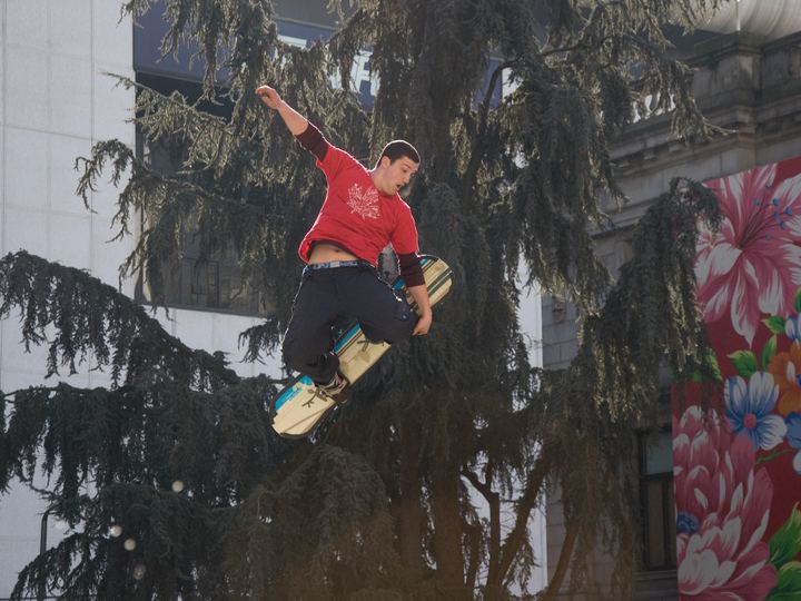Stunt Shows and Trampoline Acts
